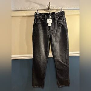 American Eagle Outfitters Dark High-Rise Straight Jeans, Women’s Size 26W